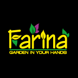 Farina