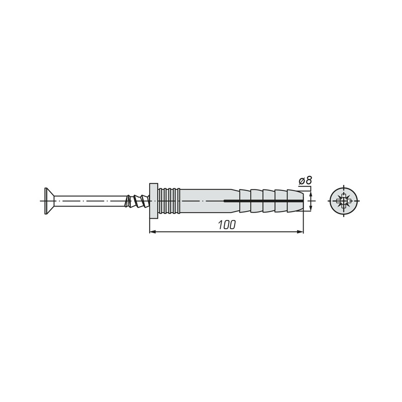 Дюбель-гвоздь SWFS 8L100 (2 шт)